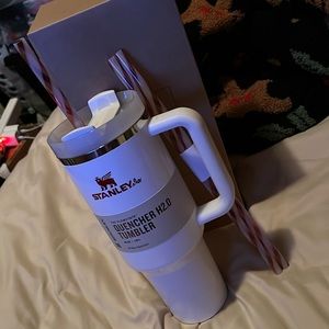 Limited edition Stanley mistletoe